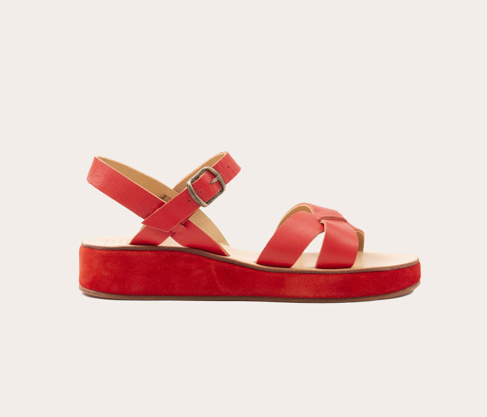 Fiesta & Coral Wedge Pac - Low Price